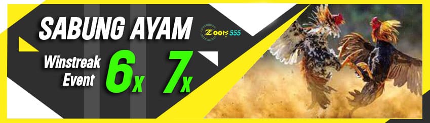 EVENT WINSTREAK SABUNG AYAM